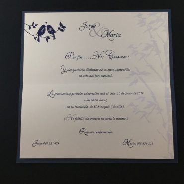 invitacion-de-boda-original-azul-elegante-romantica-pajaro-pajarito